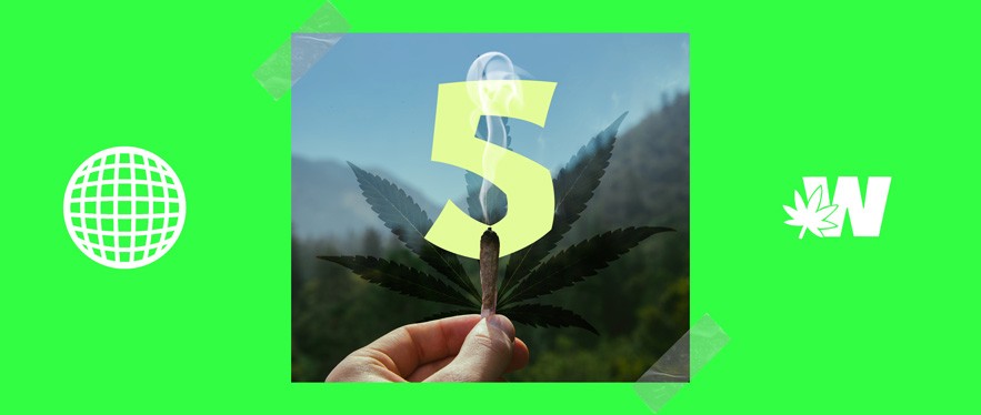 Top 5 Weed Strains For Chill