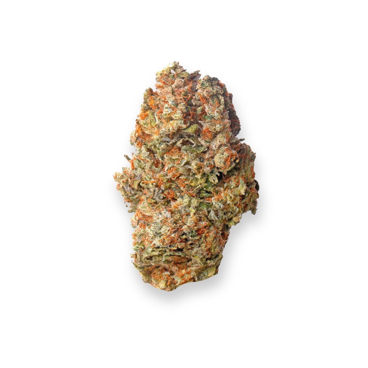 ACDC Strain Review
