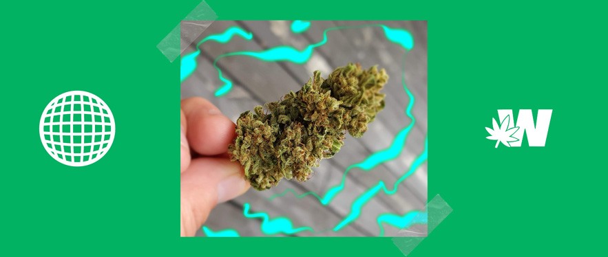Weed Pineapple Express Review