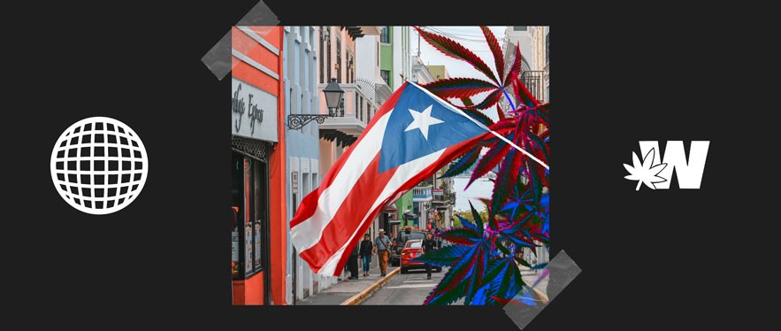 Puerto Rico Buy Cannabis CBD