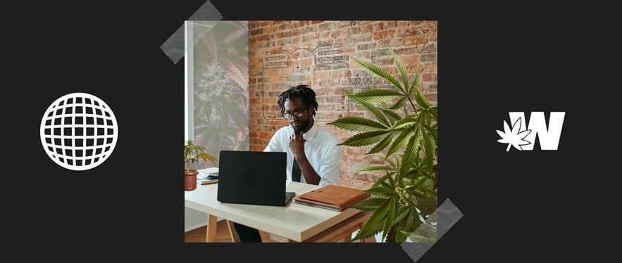 Weed Businesses Data Driven