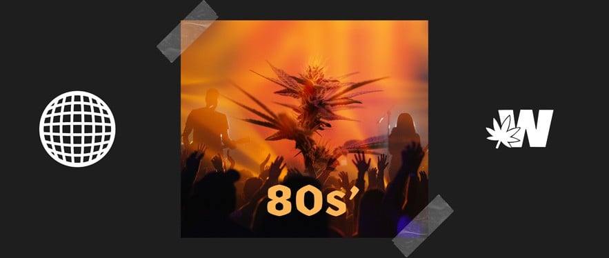 Weed and Rock Music 80s