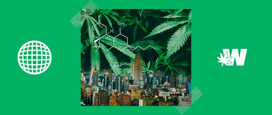 New York Cannabis Delta 8