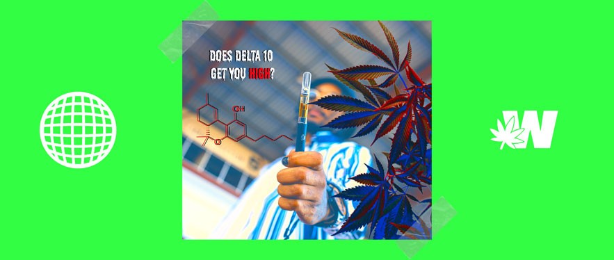 Delta 10 Cannabis high