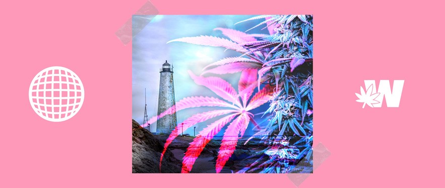 Connecticut Cannabis Buy
