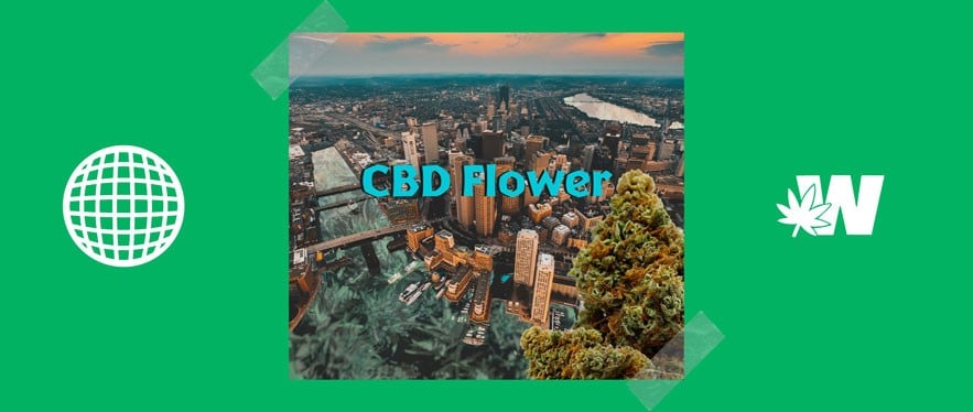 Massachusetts Weed CBD Buy