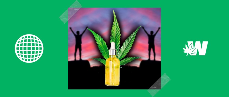 Cannabis Oils and Weed Tinctures TOP List