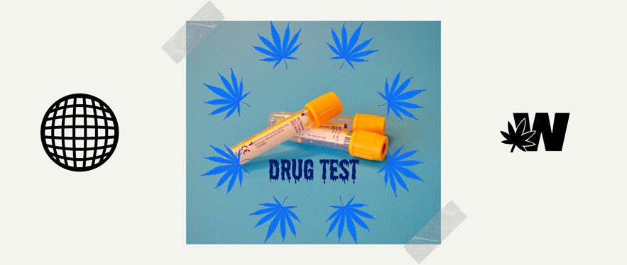 Delta 10 Drug Test