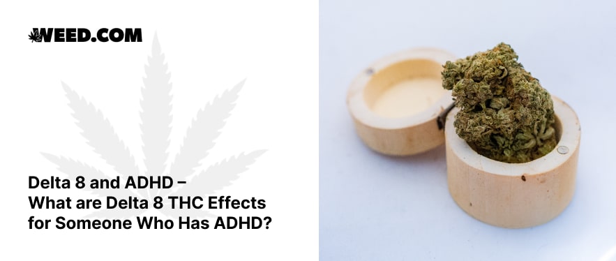 Delta 8 and ADHD - What are Delta 8 THC Effects for Someone Who Has ADHD?