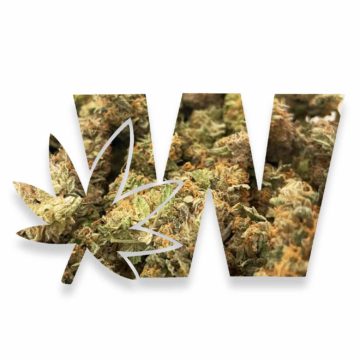 Weed Logo Banana Kush Cannabis