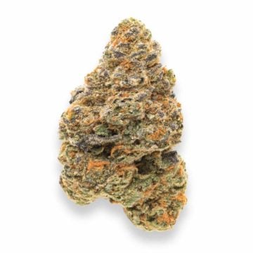 Casino Cookies Cannabis Bud Example
