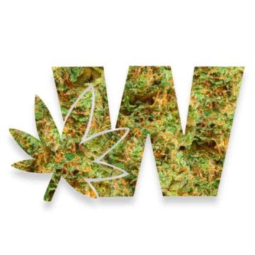 Special Sauce Weed Logo