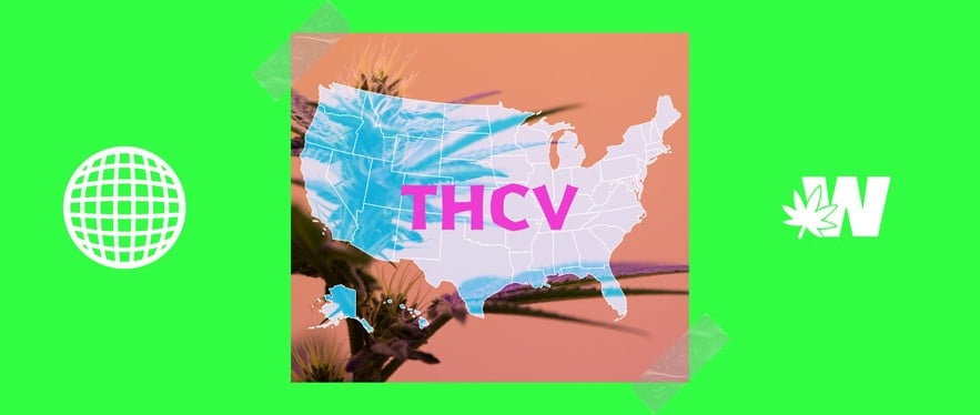THCV Weed Legality in USA