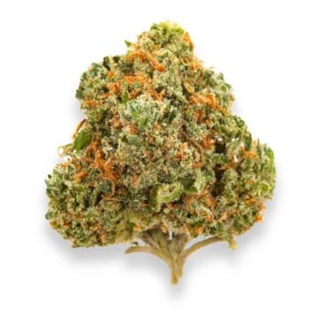 Alien Kush weed strain high quality