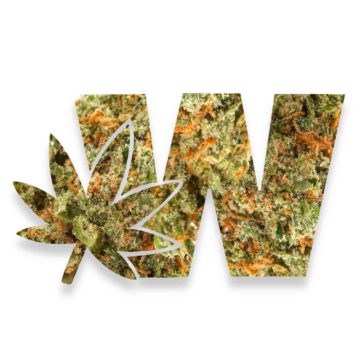 weed com logo with Alien Kush strain