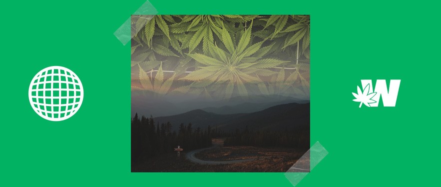 Montana Cannabis legal or No
