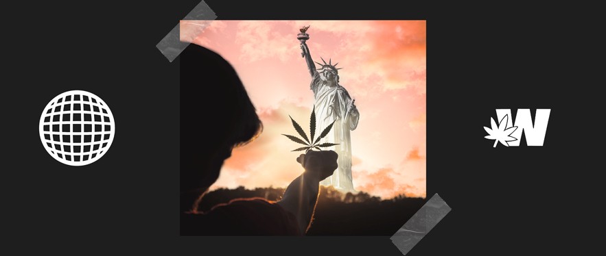 New York Cannabis legal