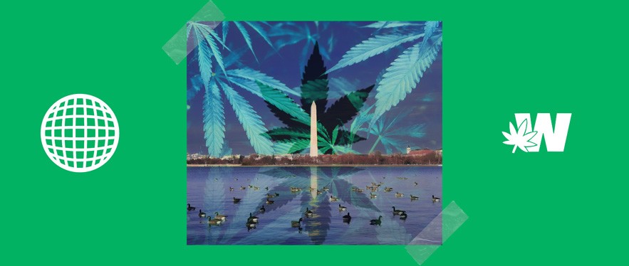 Washington Recreational Cannabis