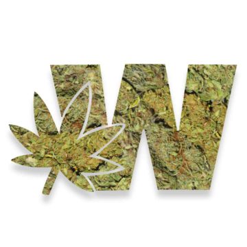 Weed Logo Cannabis Strain Elektra