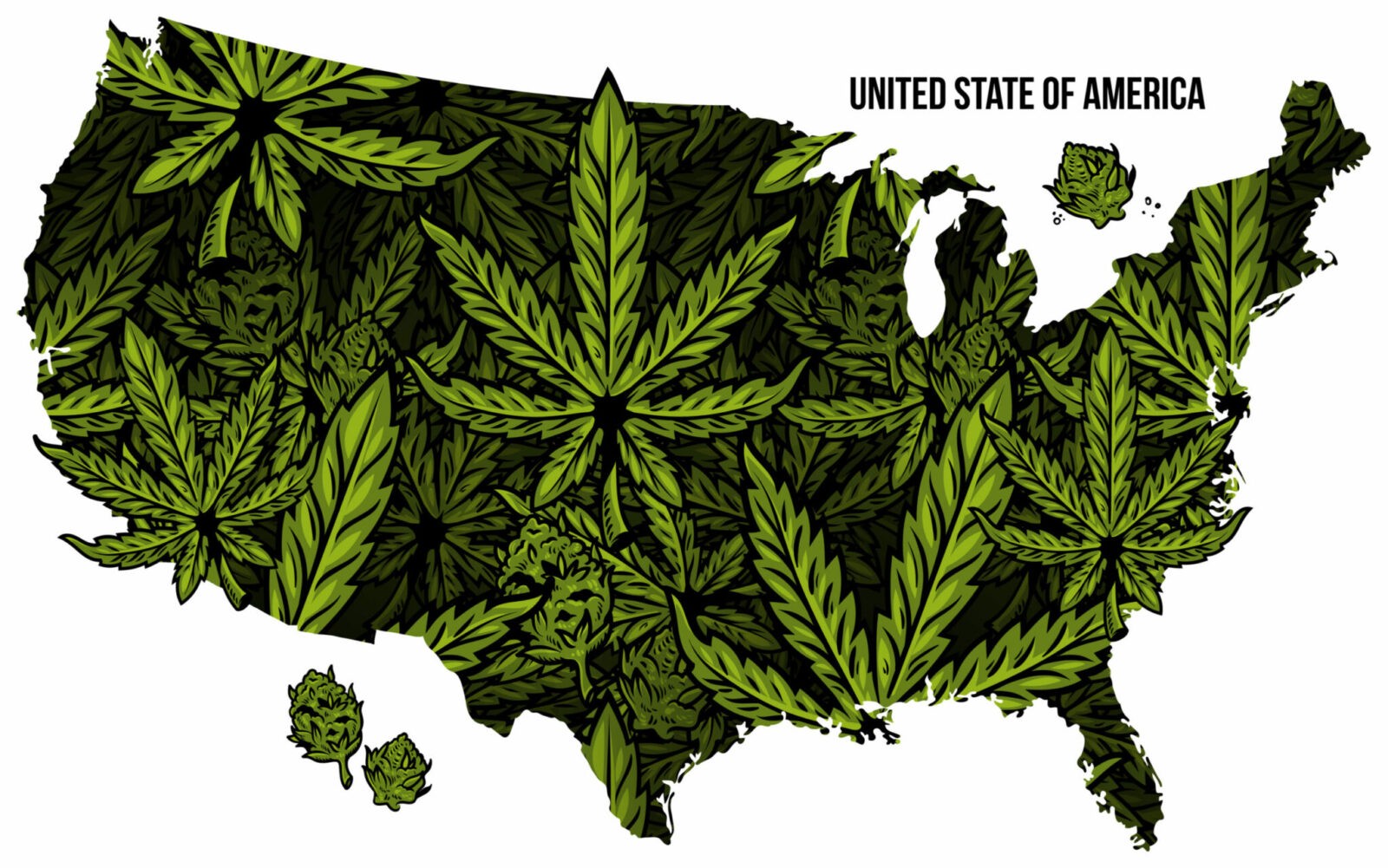 States, Weed, Cannabis, Laws