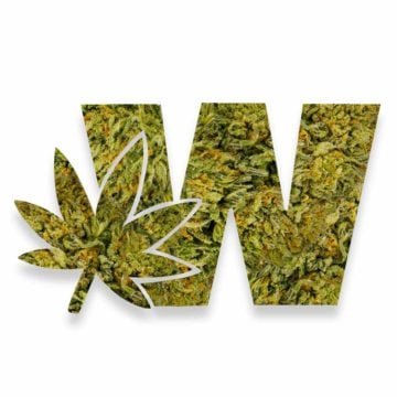 Weed Logo Bubba Kush Cannabis
