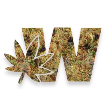 Weed Logo Fortified Frosted Freak