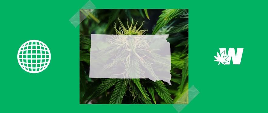 South Dakota Cannabis Legality