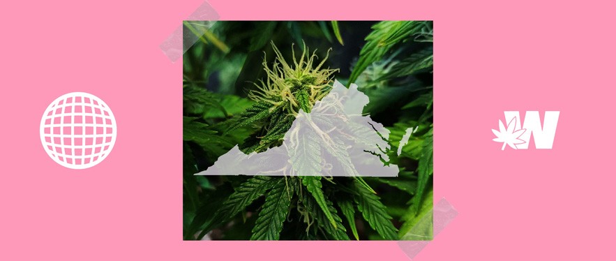 West Virginia Cannabis Legality
