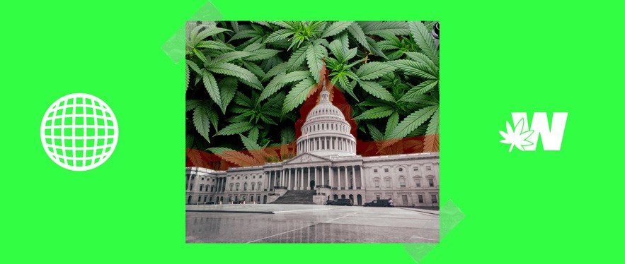 THC-P Legality in USA