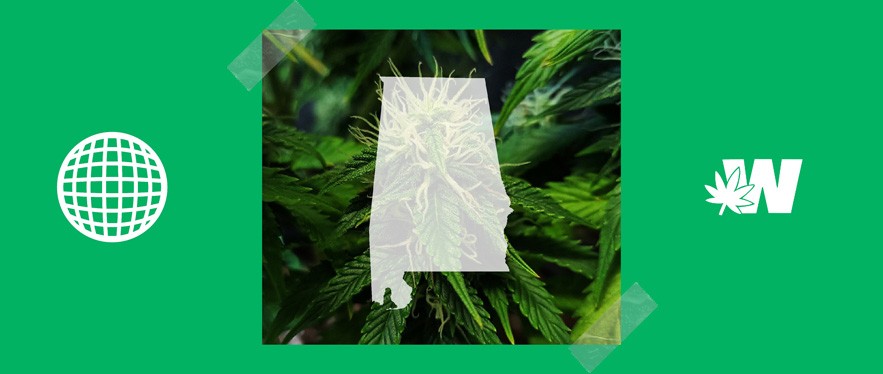 Alabama Legality Weed