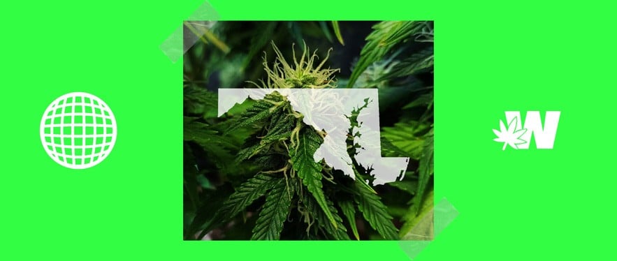 Medical Marijuana in Maryland