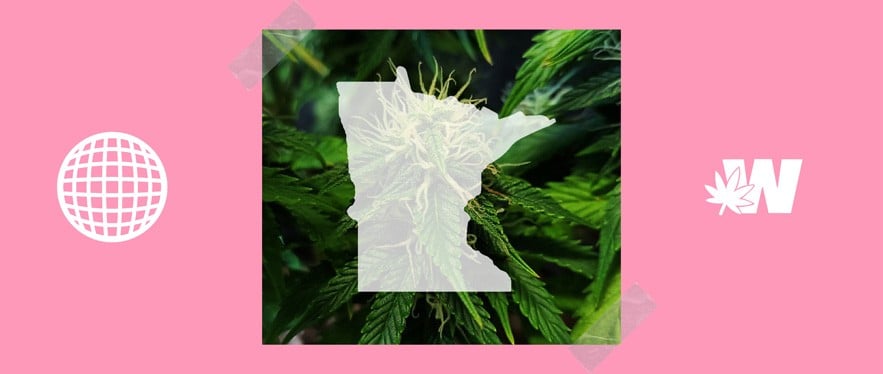 Minnesota Weed Legality