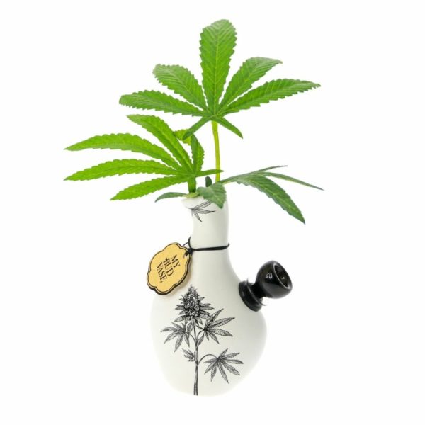 my bud vase water pipes black color with green plant