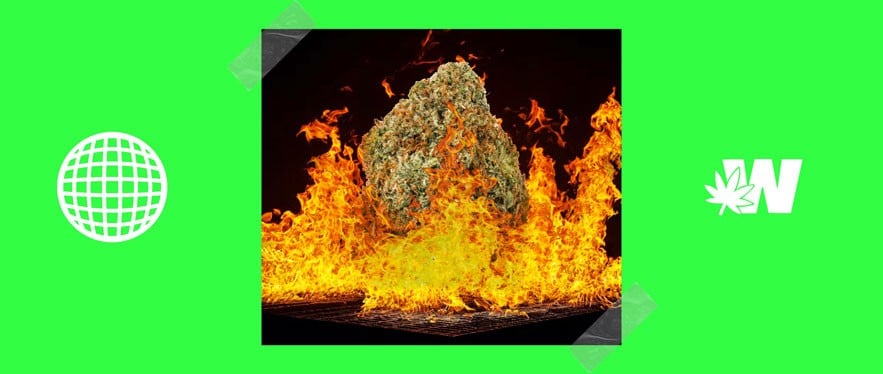 Burning Weed, Cannabis in fire