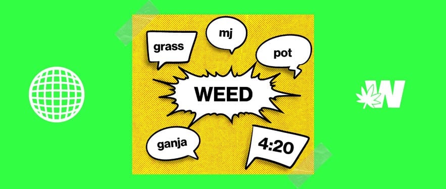 Weed Slang: Cannabis, Ganja, 4:20, grass, mj, pot