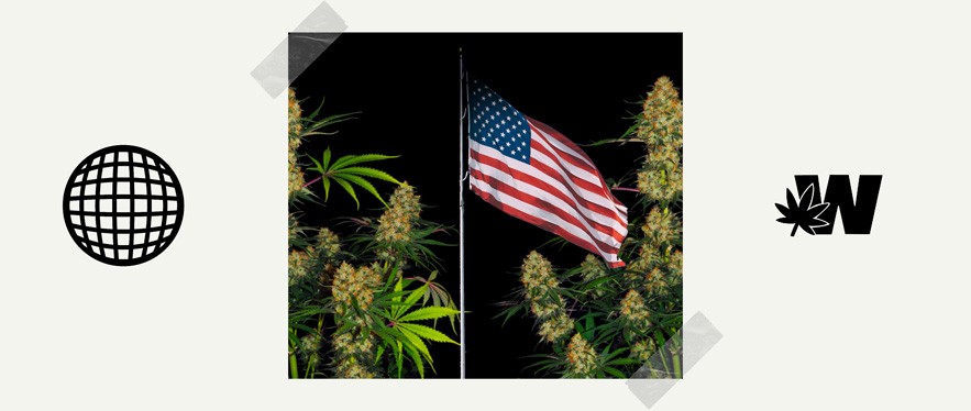 usa flag cannabis hhc-p legal