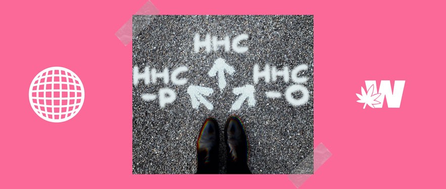 What to choose: HHC HHC-O or HHC-P?