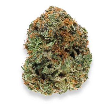 Sovereign Bubba Weed Strain