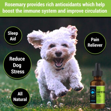 Reduce Dog Stress Hemp Oil Buy Now