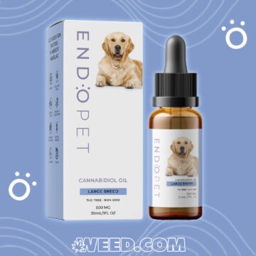 CBD oil Dogs Large Breed Endopet to Buy