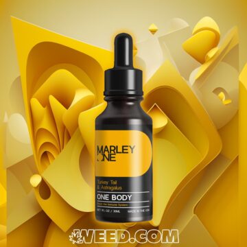 Marley One One Body Mushroom Tincture On Yellow Abstract Background