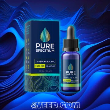Cannabidiol Oil Pure Spectrum Extra-Strength to Buy