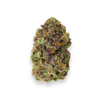 Scratch Sniff Strain Review
