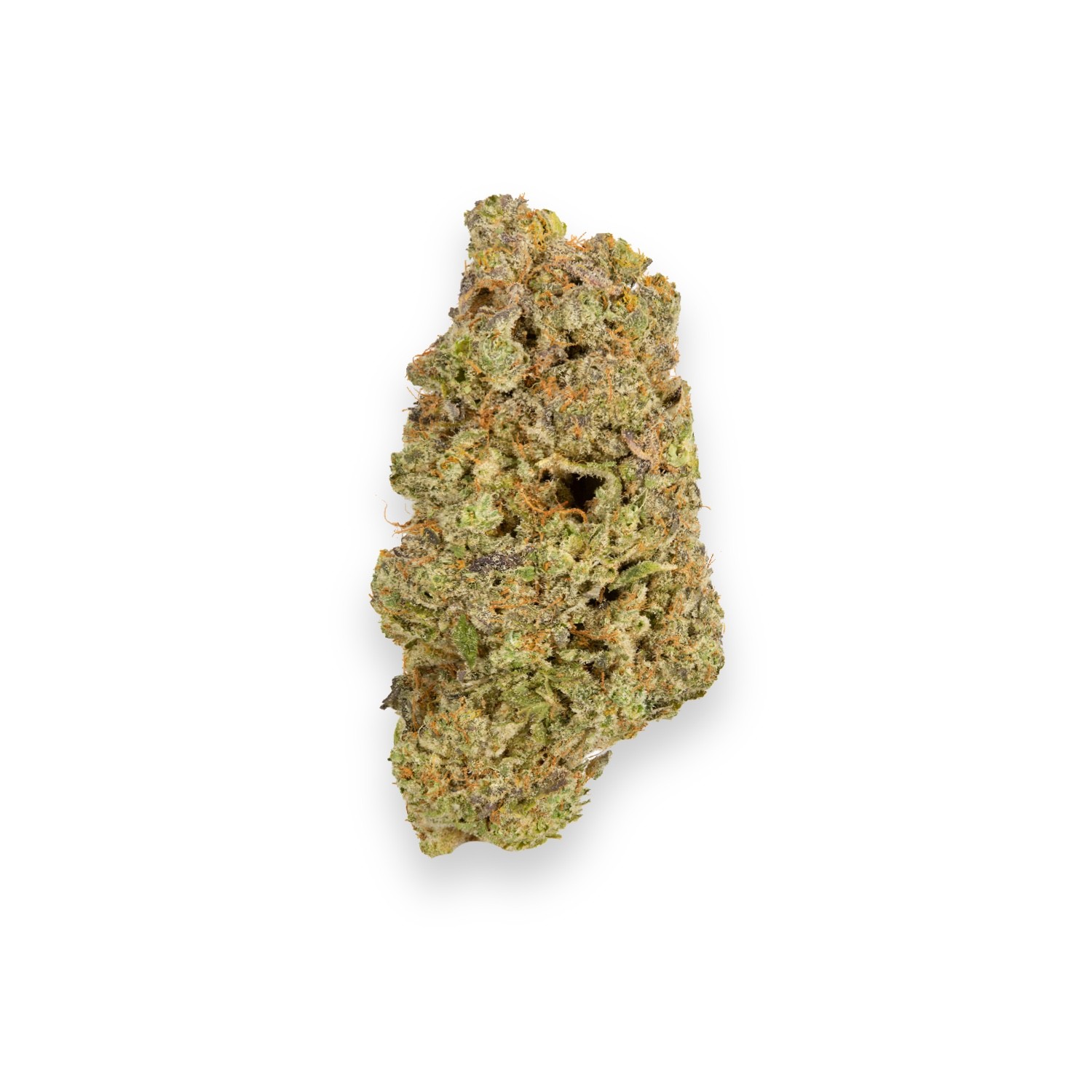Black Orchid Strain Review