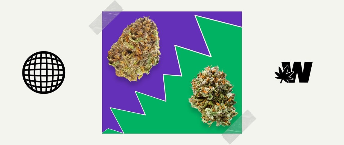 Indica or Sativa Difference
