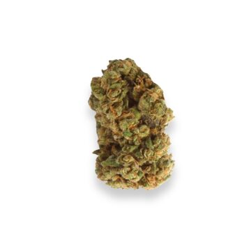 Medusa Strain Review