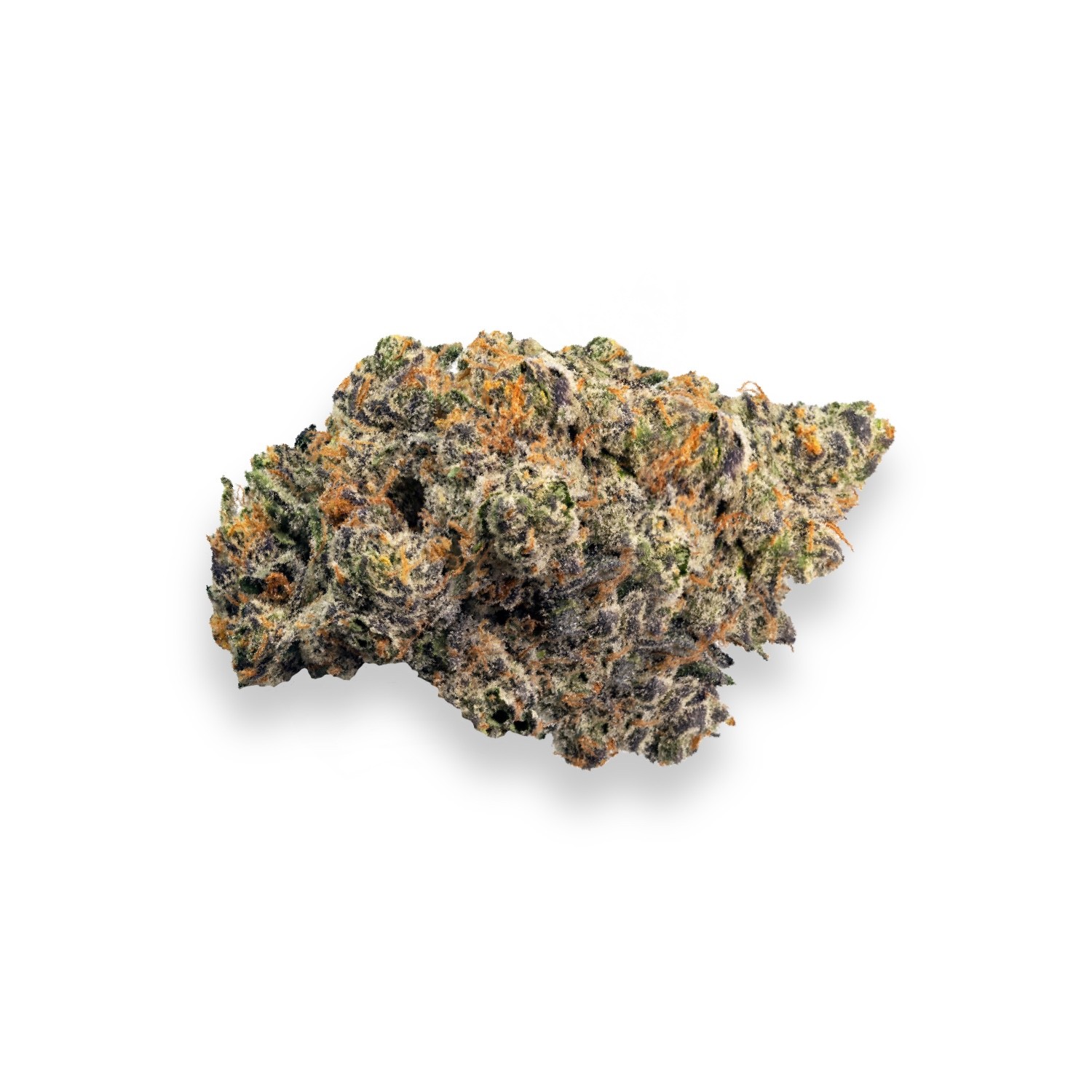 Purple Martian Kush Strain Review