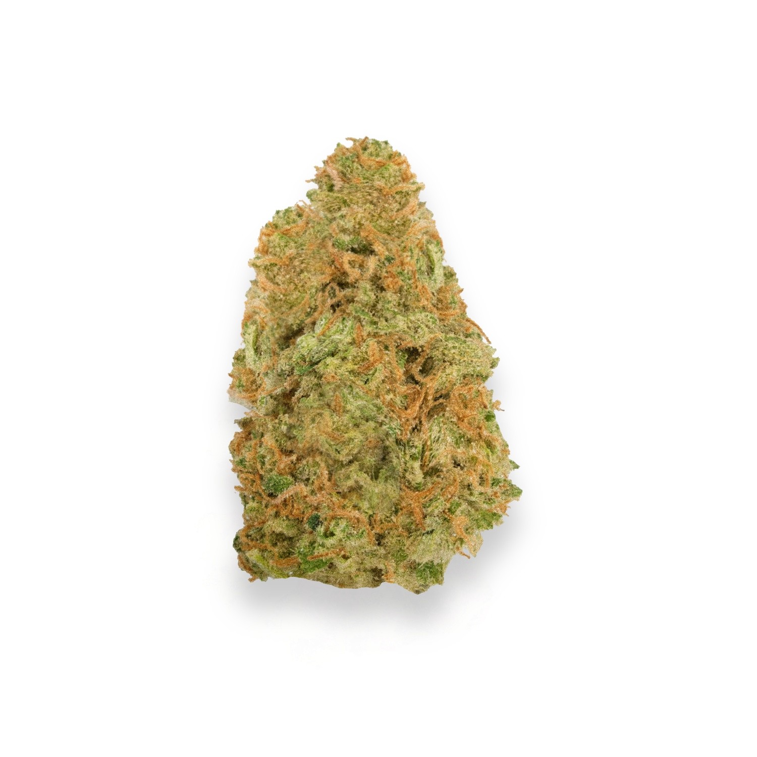 Sour Cheese Strain Review
