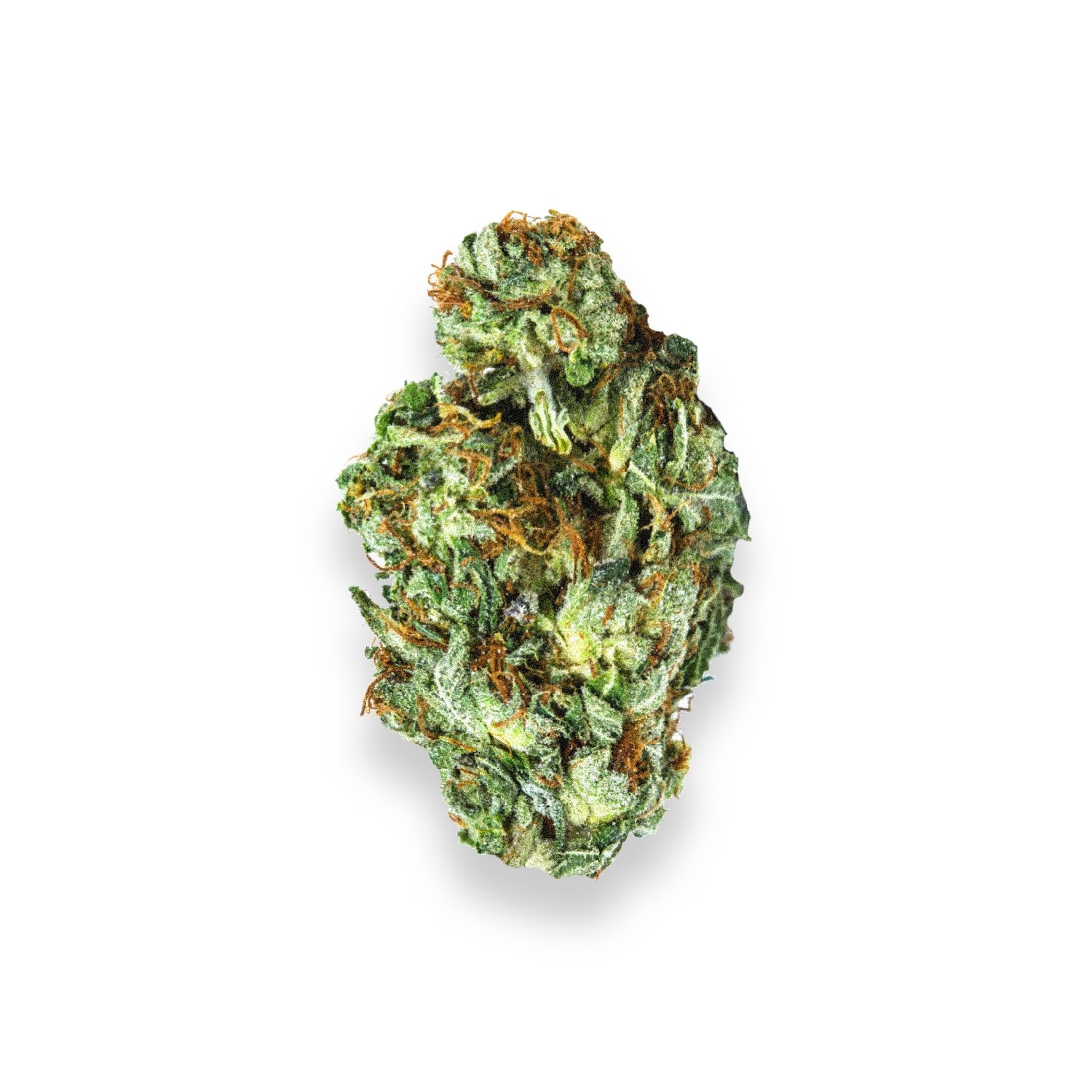 Special Kush #1 Strain Review