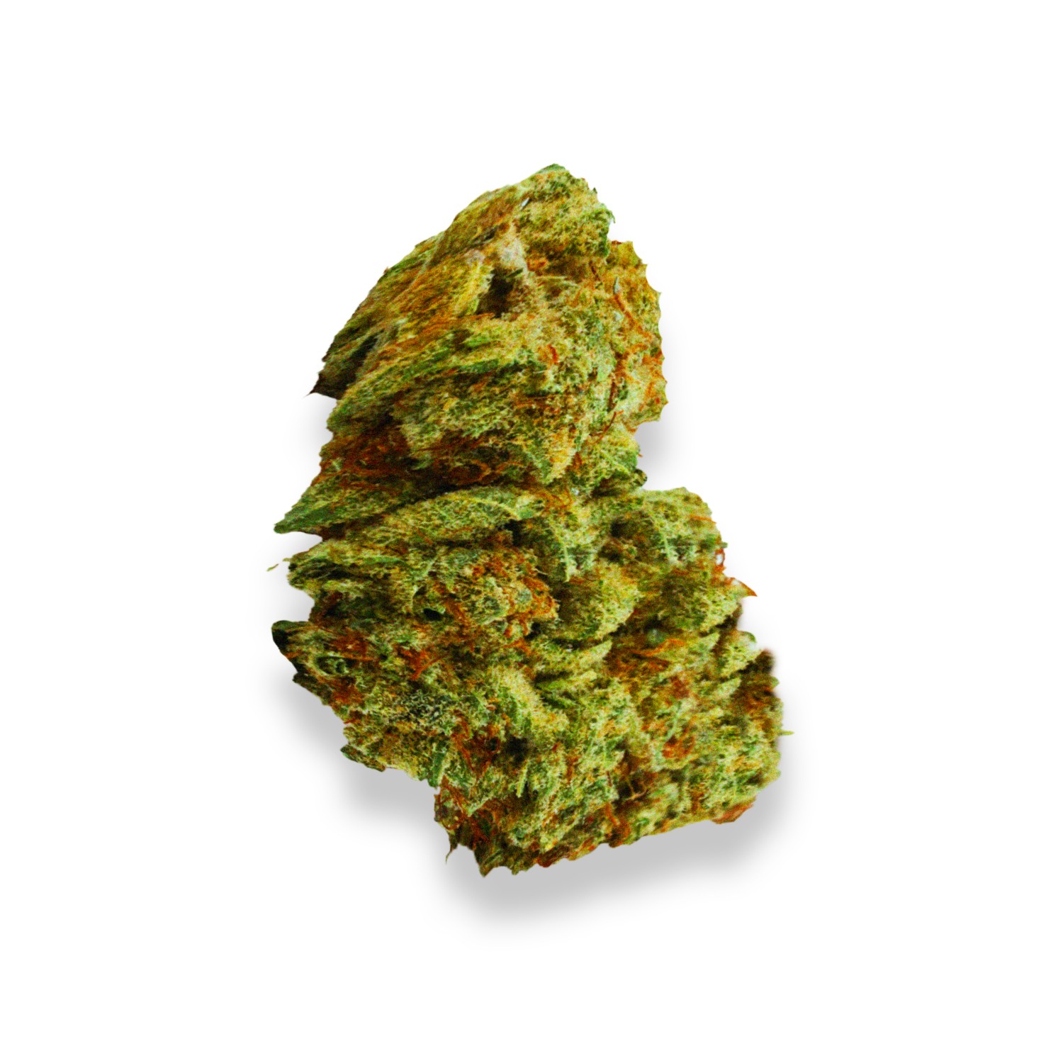 gg 1 strain review